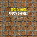 2022년 동화읽는어른 1,2월 회보에 소개 된 책 이미지