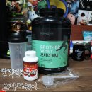 브라더밀스 | [리뷰] 브라더밀스 단백질보충제 - 쪼꼬초코맛 후기