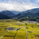 황금들녘 이미지