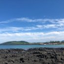 제주돈이야기
