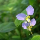 송산한식부페 이미지