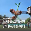 지윤목장 | 거제 아이랑갈만한곳 숲소리공원 도토리놀이터 양떼목장