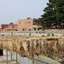 성하경로당 이미지