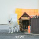 등너머경로당 이미지