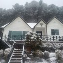 열린펜션 티스토리
