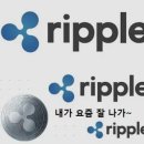 (JED)비전 이미지