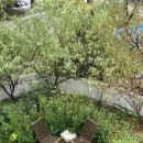 숲 휴게소 이미지