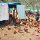 남문농장 이미지