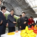 진흥농장2 이미지