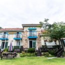 프렌즈 애견 이미지