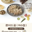 문어의꿈 여수점
