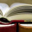 사랑축사 이미지