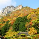 야음주유소 이미지