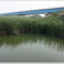 노진낚시터 이미지