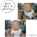 초기이유식 총정리[육아칼럼][건강한아기먹거리 8강좌][도전 엄마표 이유식]