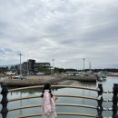 수산항요트하우스 화장실 | 아이와 제주여행 M1971 돌고래 요트 투어 내돈내산 재방문 후기 액티비티 멀미