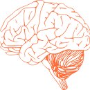 오거리사랑요양병원 이미지