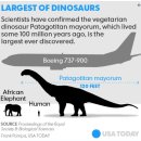 공룡목장 이미지