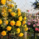 뚝섬한강공원-18 이미지