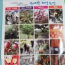 산애산과일농장