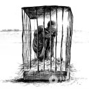 단식광대 이미지