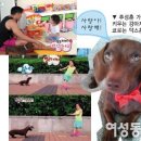 전성
