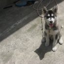 유성문화원 이미지