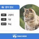 다산봄동물병원