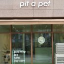 pit a pet (핏어펫) 이미지