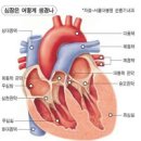 심장(心臟 건강법(健康法) 10가지. 이미지