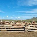 유현목장 이미지