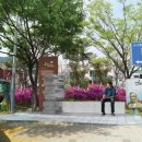 요산 이미지