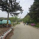 쉼토가민박 Daum카페