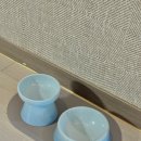 고성동물병원 이미지