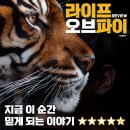 자연은 동물병원 | 속전속평 | <라이프 오브 파이> 리뷰, 지금 이 순간 믿게 되는 이야기! (with 박정민 회차, 파노라마석)