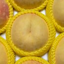 미정농장 | 514. 신품종 황도 (품종명 미정) - 이례복숭아농장: 기가 막히게 아름다운 은은한 산미와, 미묘한...