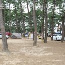 몽산포패밀리데이캠핑장 이미지