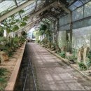 자연예술랜드 이미지