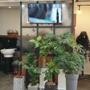 배방읍 배방로14번길 이미지