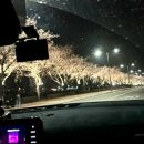 강변. 조각공원길 이미지
