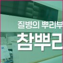 불광한의원 네이버블로그