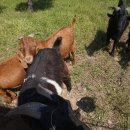 종은농장 이미지