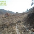 영동목장 이미지