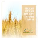 농업회사법인(주)우리농촌살리기공동네트워크