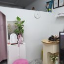 눈썹해염색해