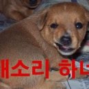 쾌 이미지