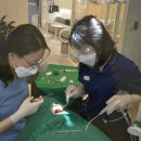 서울수미치과의원 이미지