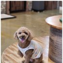 카페미루 이미지