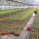 제언농장 이미지