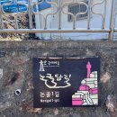 일마레감성숙소 | 강원도 동해시 묵호 1박 2일 여행 후기 총정리｜(먹거리·카페·포토존·소품샵·시장·숙소까지 솔직하게)